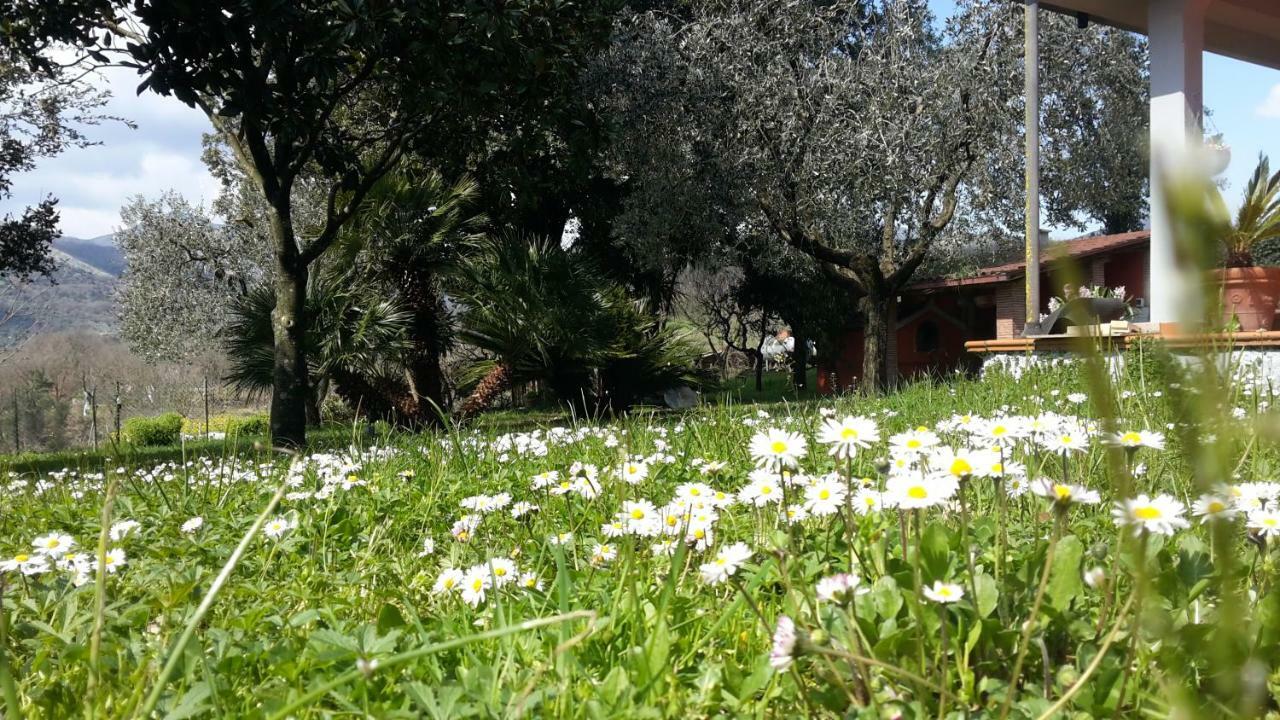 B&B La Mita Giuliano di Roma Exterior foto